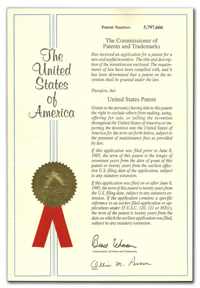 미국발명특허